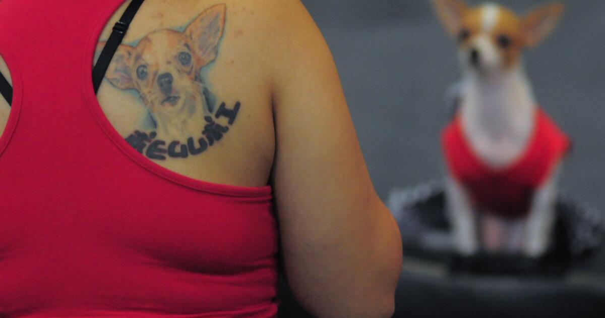 Bad tattoo?  Fresh ink with photo of your dog is part of the pet shop competition