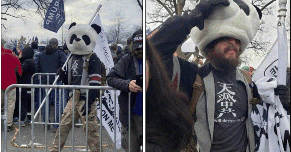 Jan. 6 suspect nicknamed “Sedition Panda” convicted of assaulting a law enforcement officer