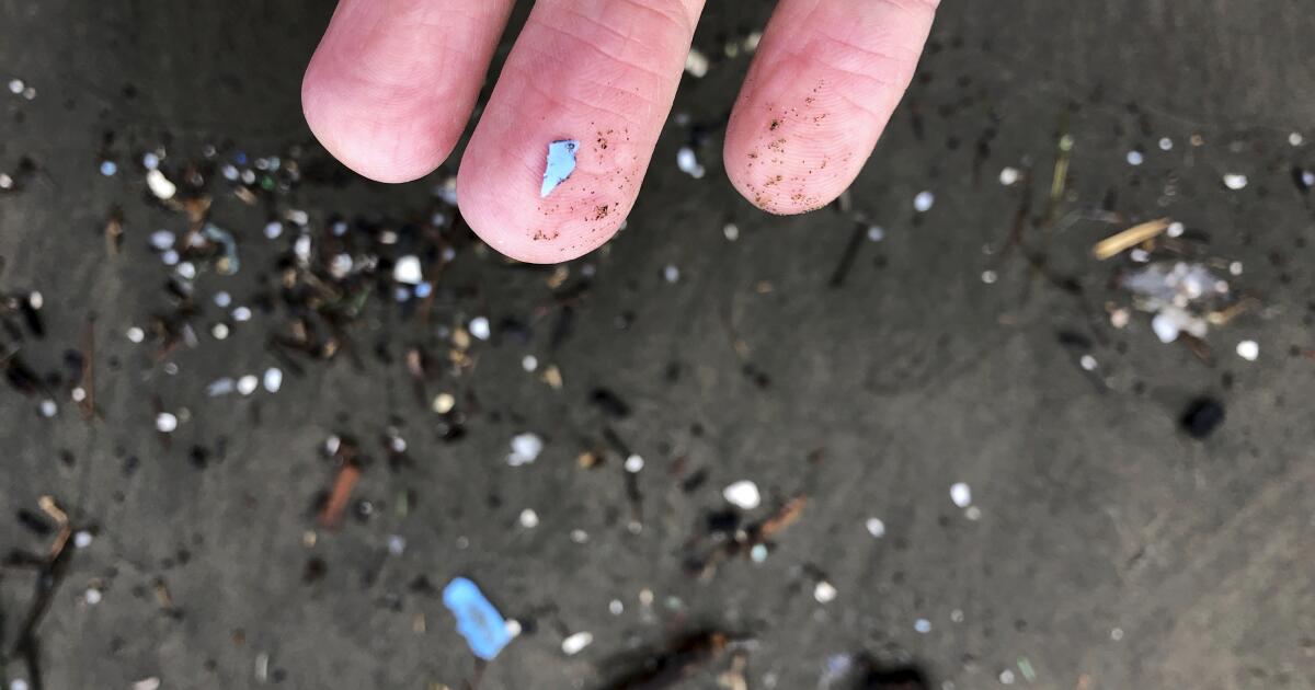 Microplastics can be a risk factor for cardiovascular disease