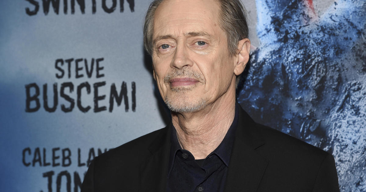 Person of interest in custody in connection with the New York City attack on actor Steve Buscemi.  Here's what we know.