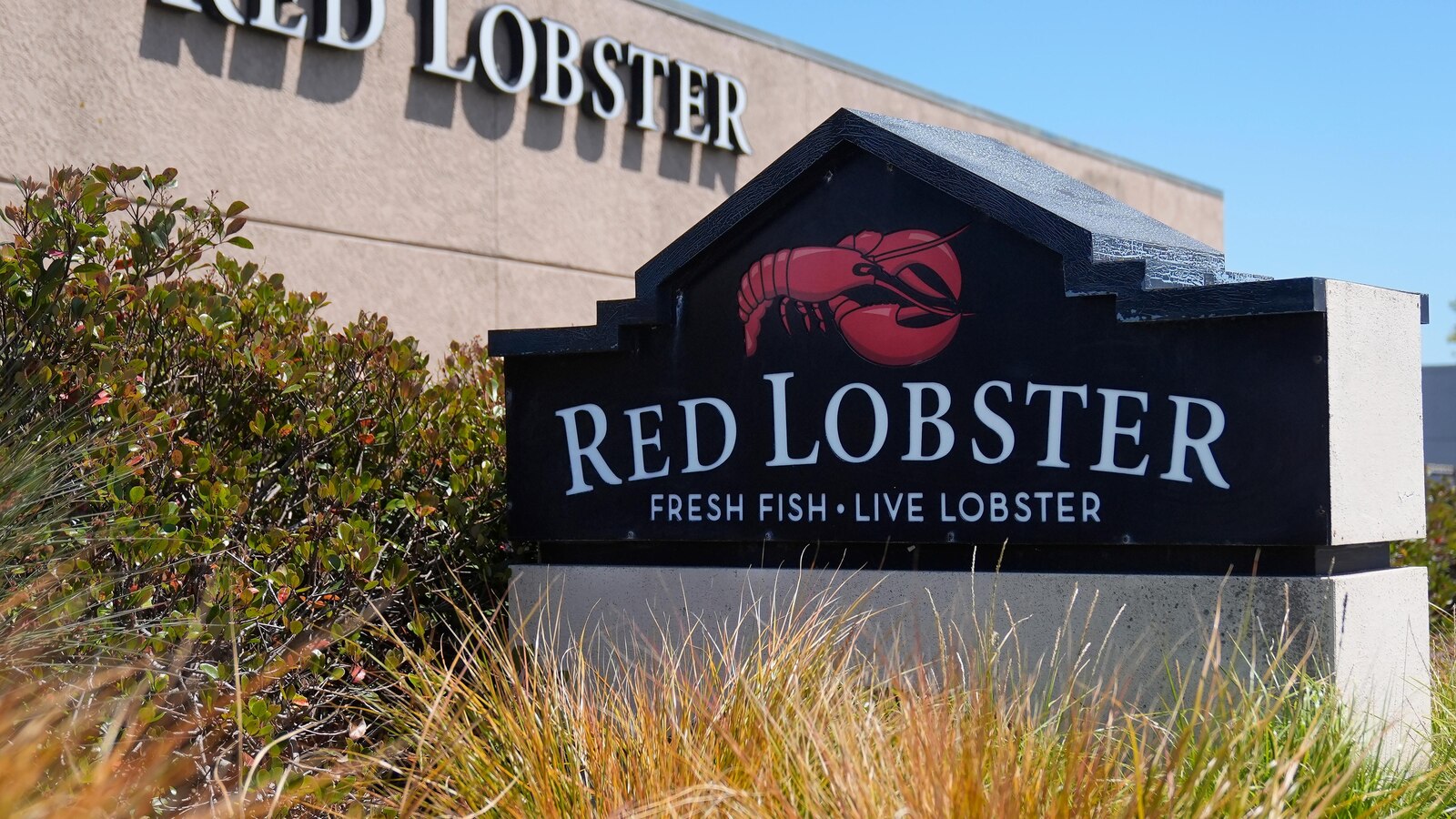 Red Lobster is seeking bankruptcy protection days after dozens of restaurants closed