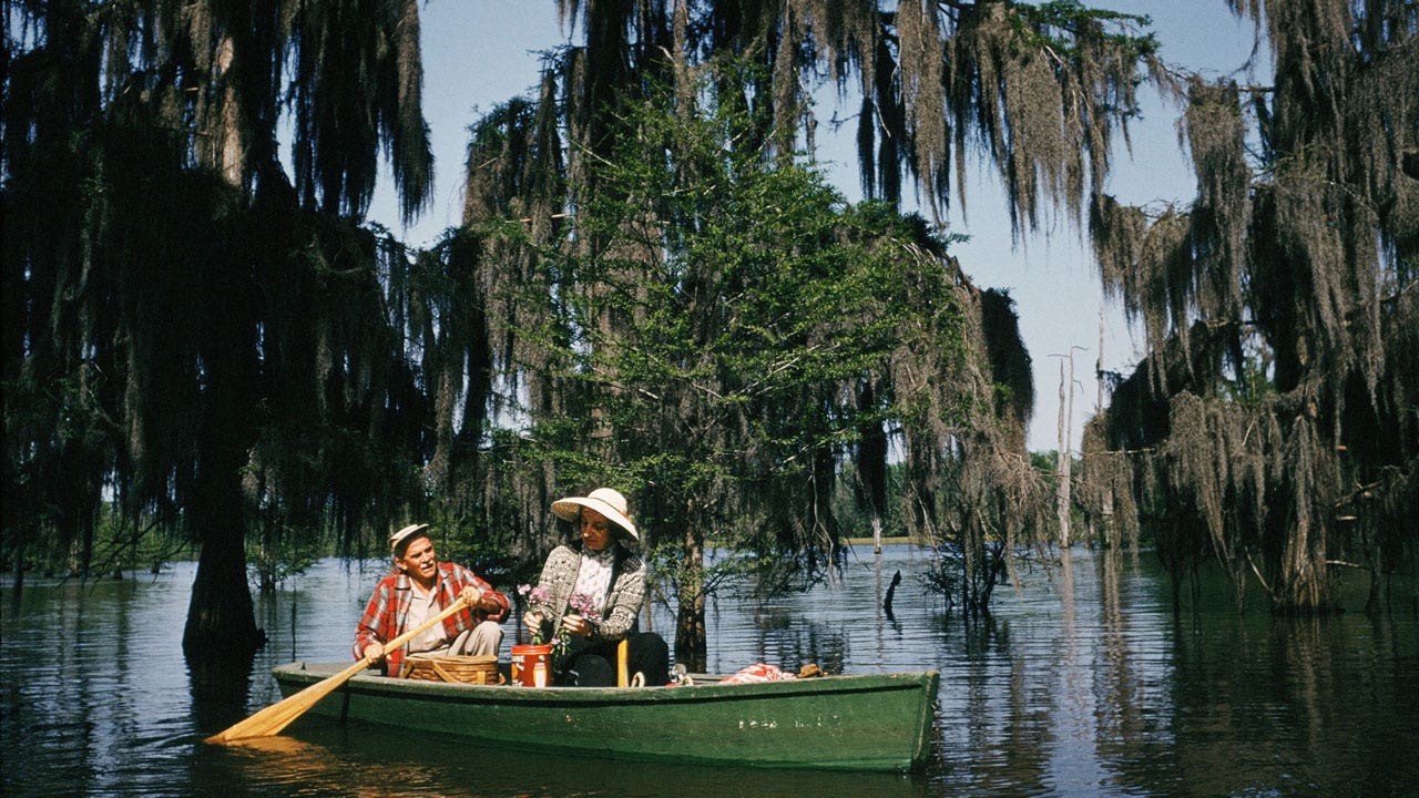 Visit Louisiana and experience its rich culture and irresistible charm through regional cuisine, nature and history