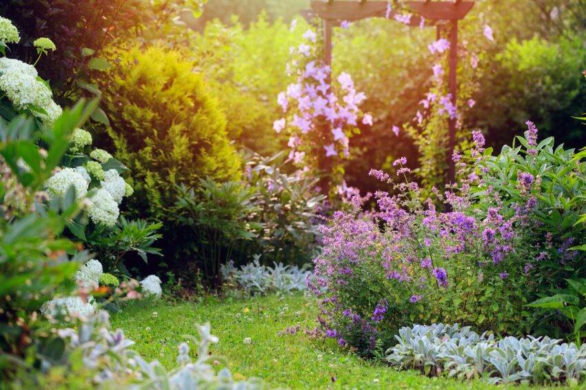 The garden brings happiness and health into your life. When it comes to South Devon, you can call it heaven of gardens.