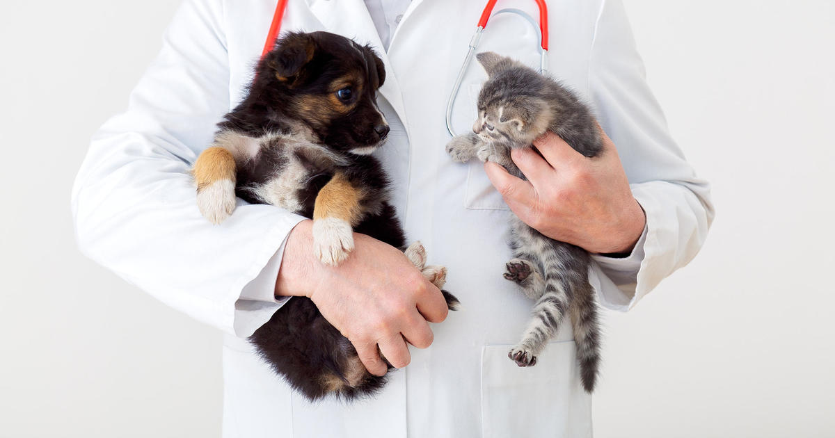 Approximately 100,000 pet insurance policies are being canceled nationwide