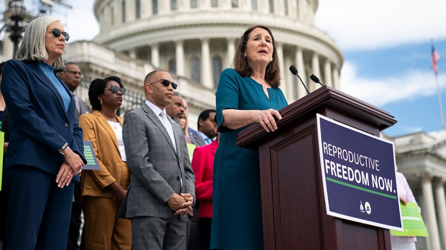 Democrats promise to make abortion protection a top priority if they win a majority