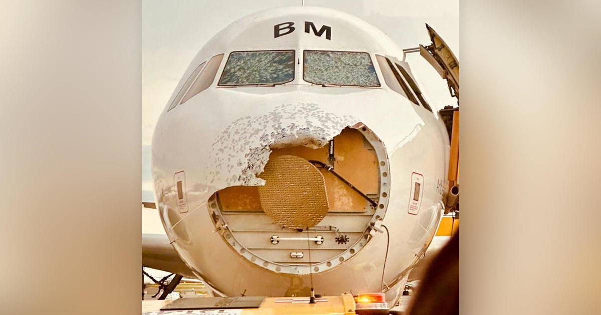 It only takes five seconds of hail to damage a plane in flight, an expert says.  Pictures show how destructive it can be.