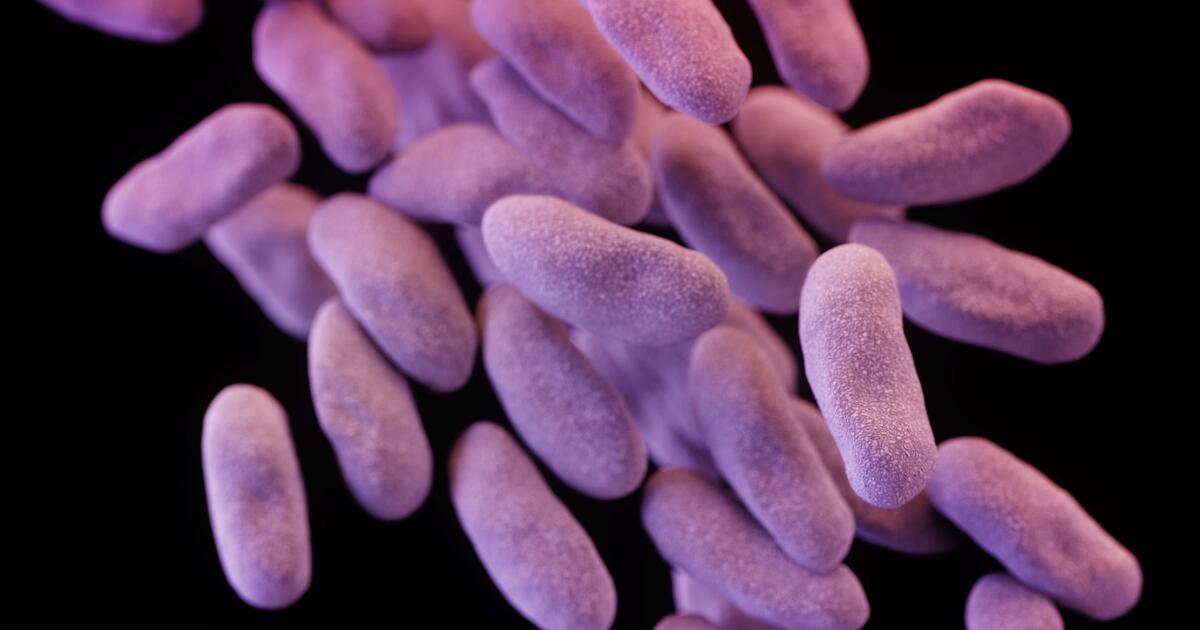 Search for antibiotics that do not damage the gut microbiome