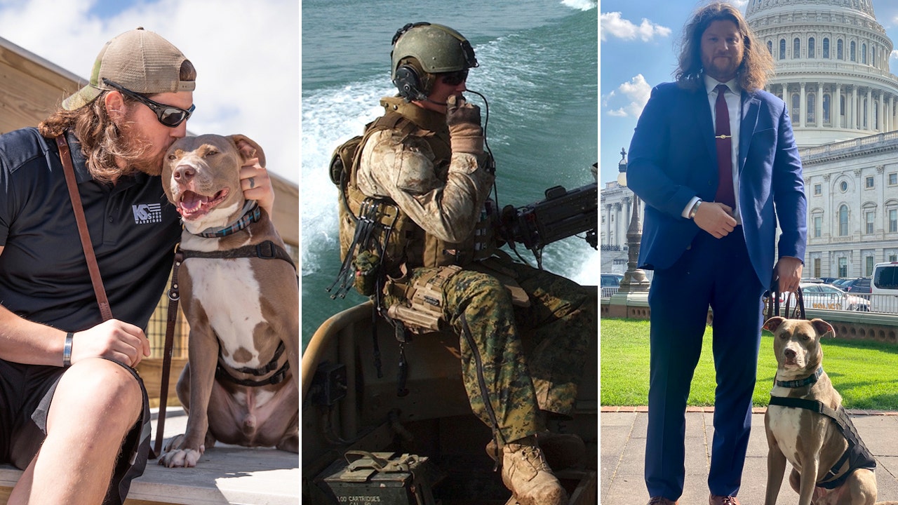 Service dogs offer 'significant' benefits for veterans with PTSD, research shows