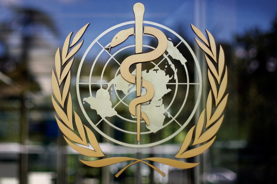 The WHO calls for urgent action against a dangerous strain of mpox