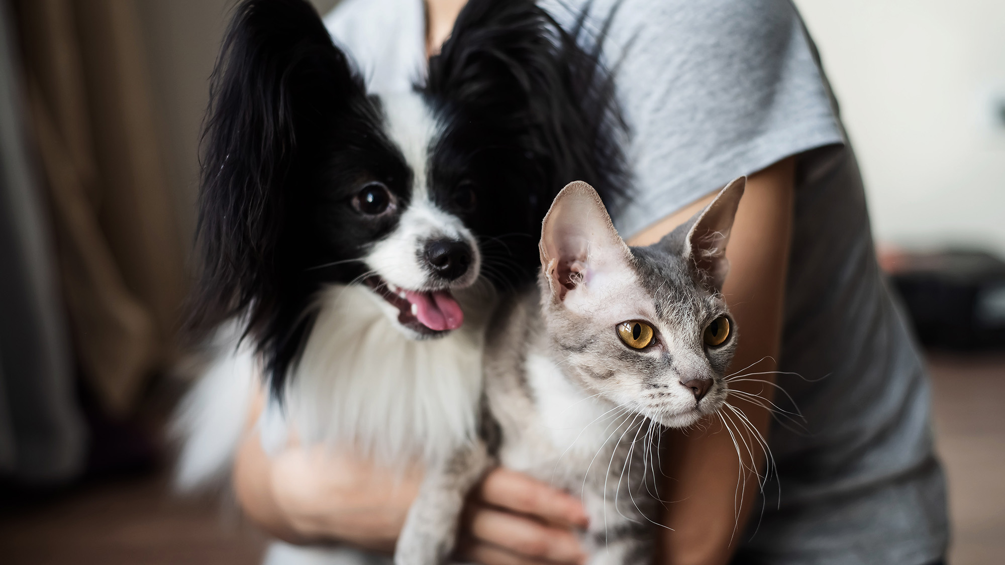 The fuzzy science on whether your pet is actually good for you