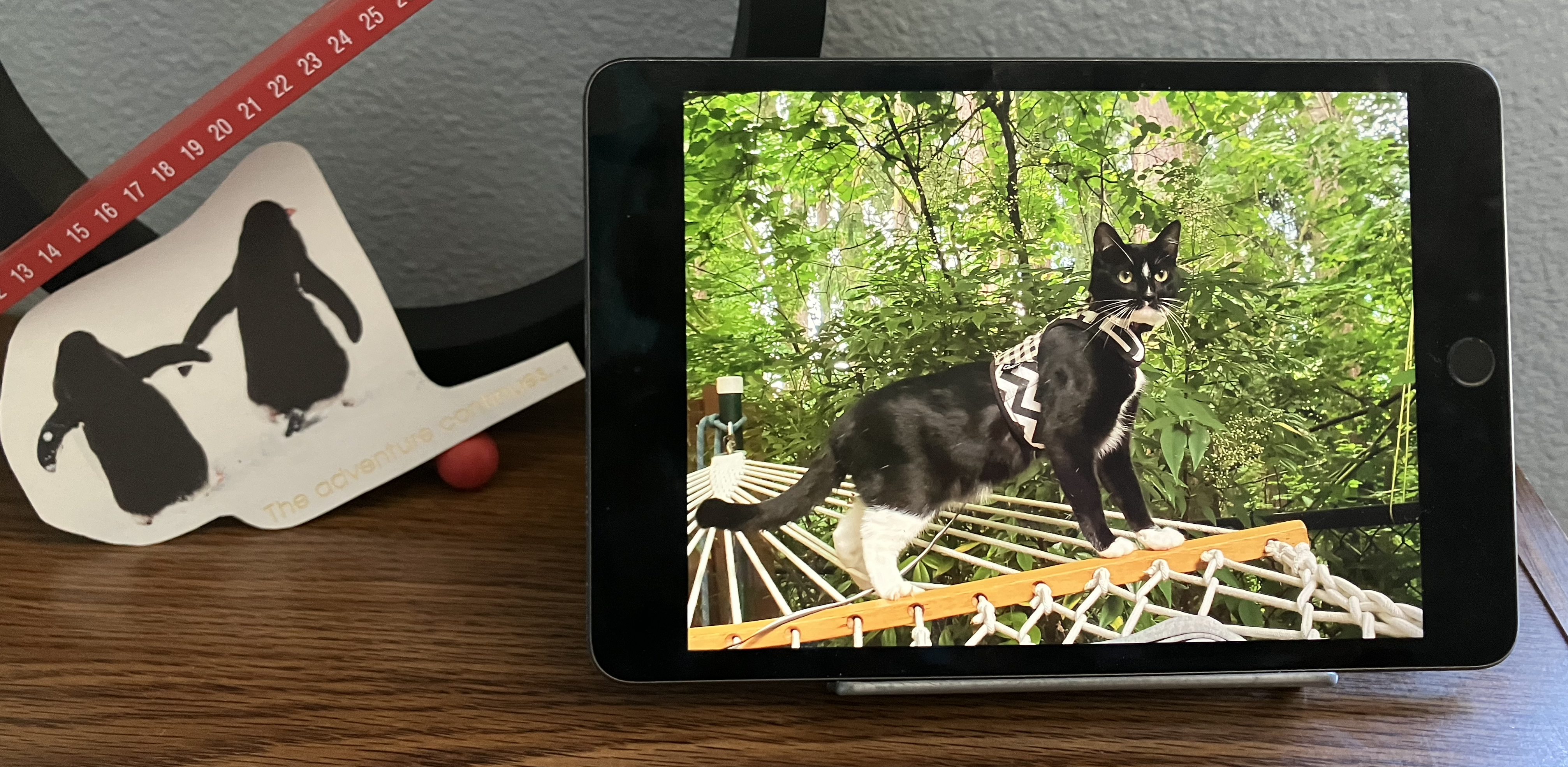 Turn your old iPad into a digital photo frame