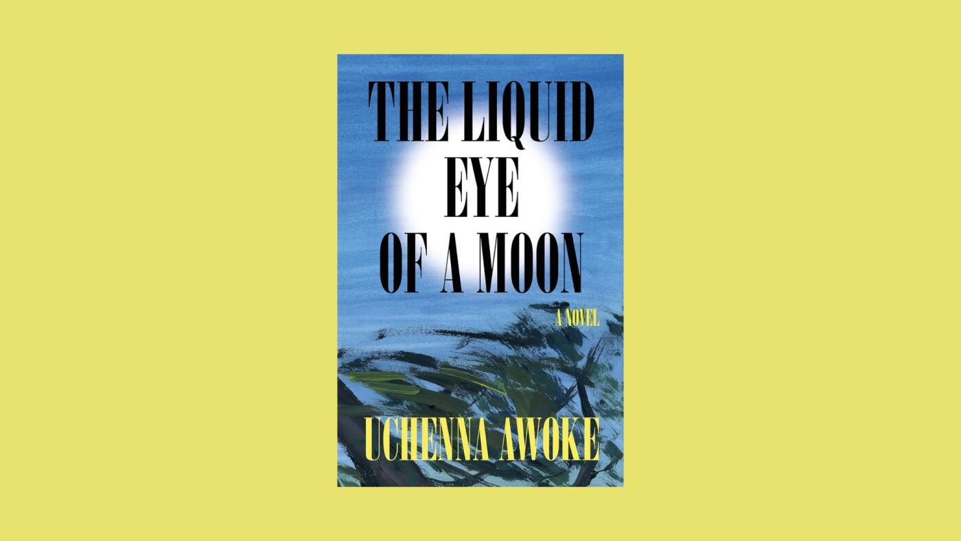 Uchenna Awoke's 'The Liquid Eye of a Moon' is a Nigerian coming-of-age story: NPR
