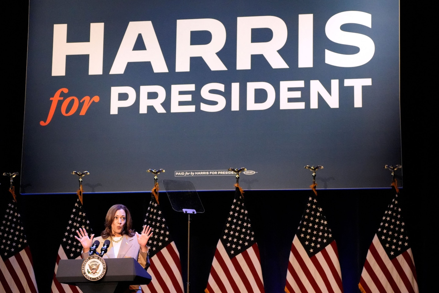 Harris and Trump grapple with transformed race for White House
