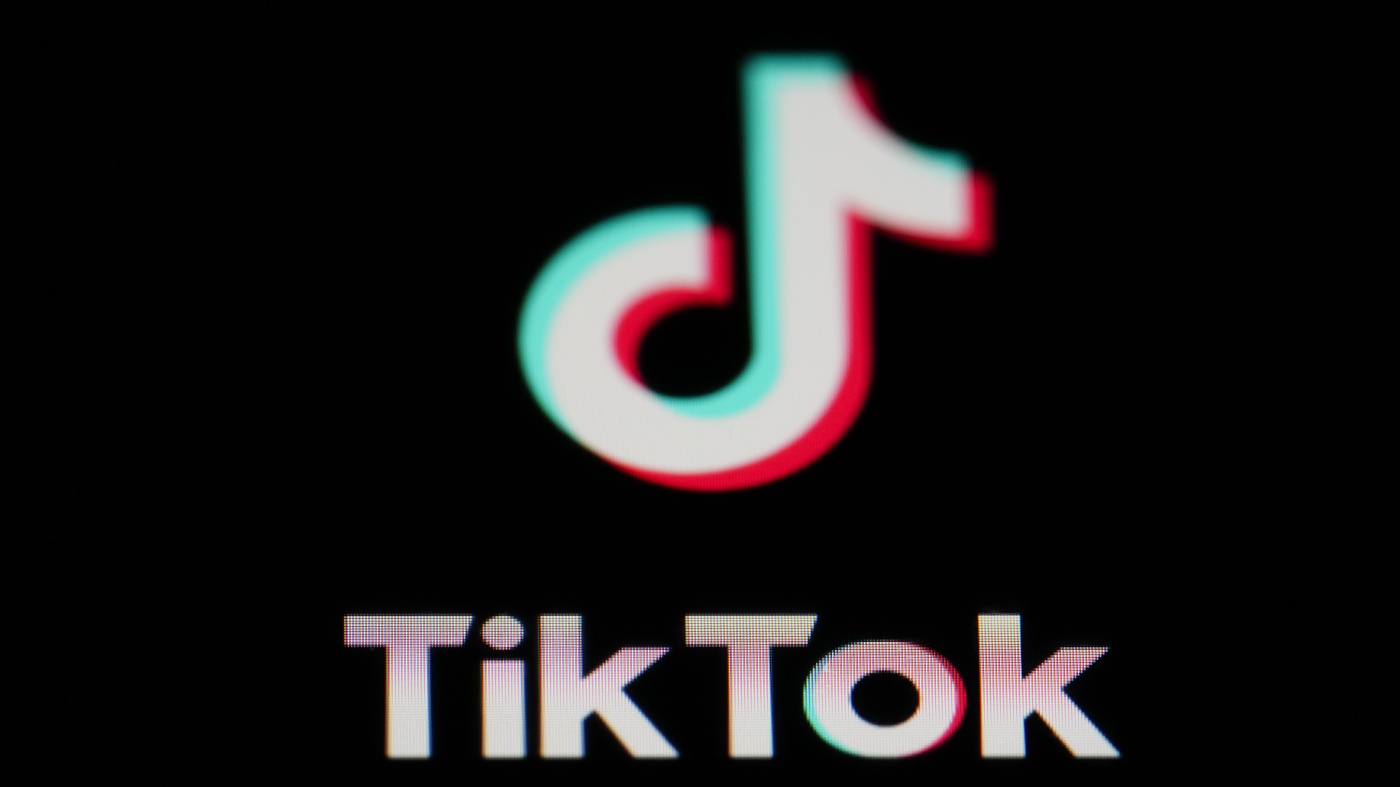 Justice Department claims TikTok has collected opinions on issues including abortion and gun control: NPR