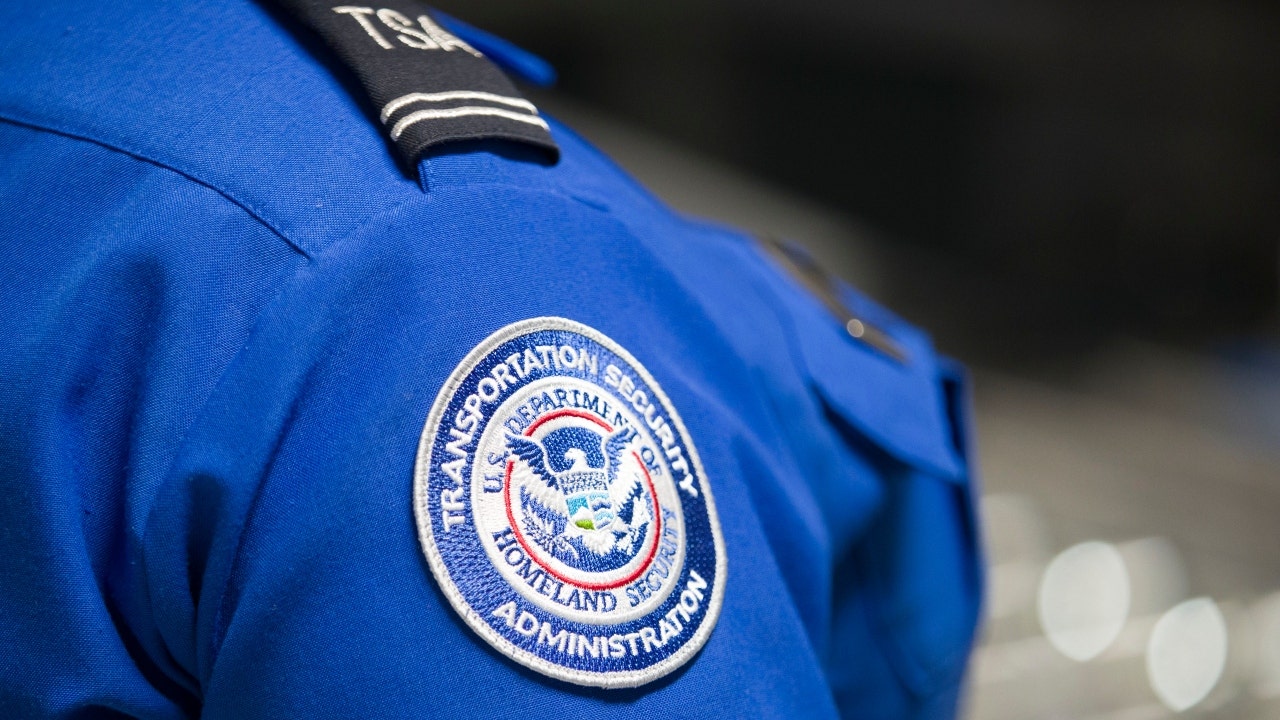 More than 3,000 guns seized at airport security checkpoints in 2024: TSA