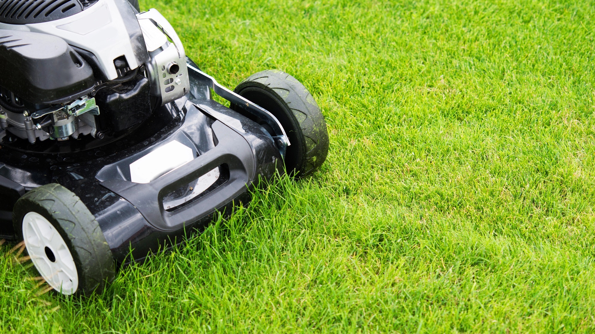 You're probably mowing your lawn wrong